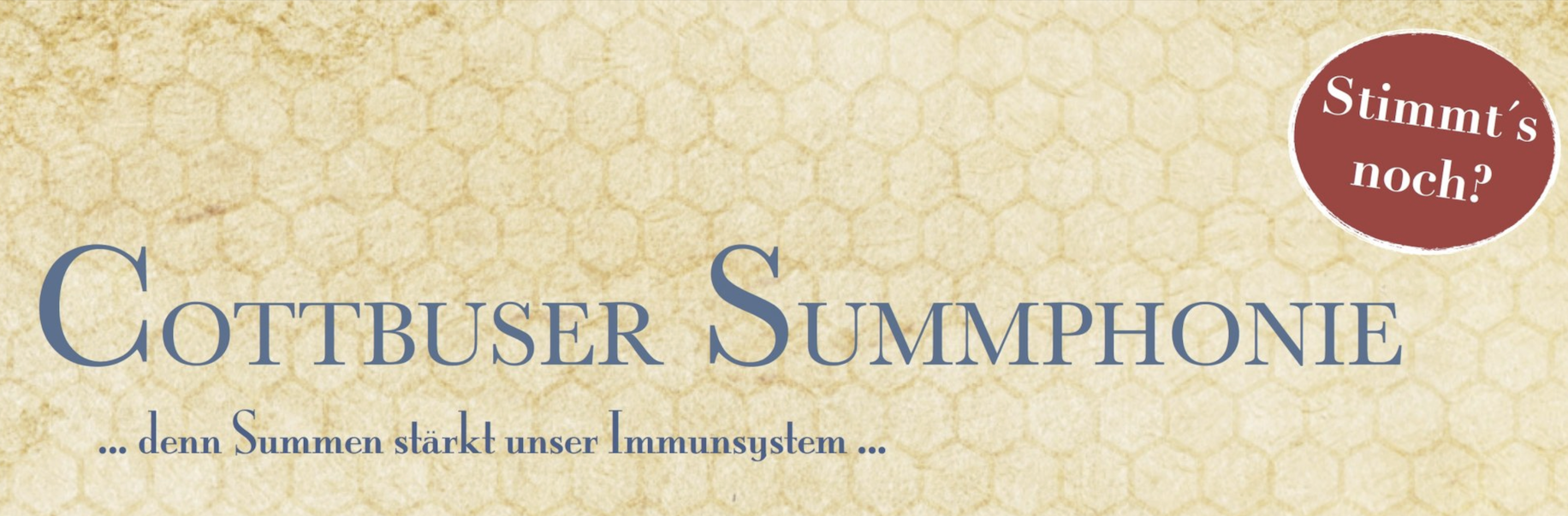 files/cms/dummy/logo-cottbusser-symphonie.png